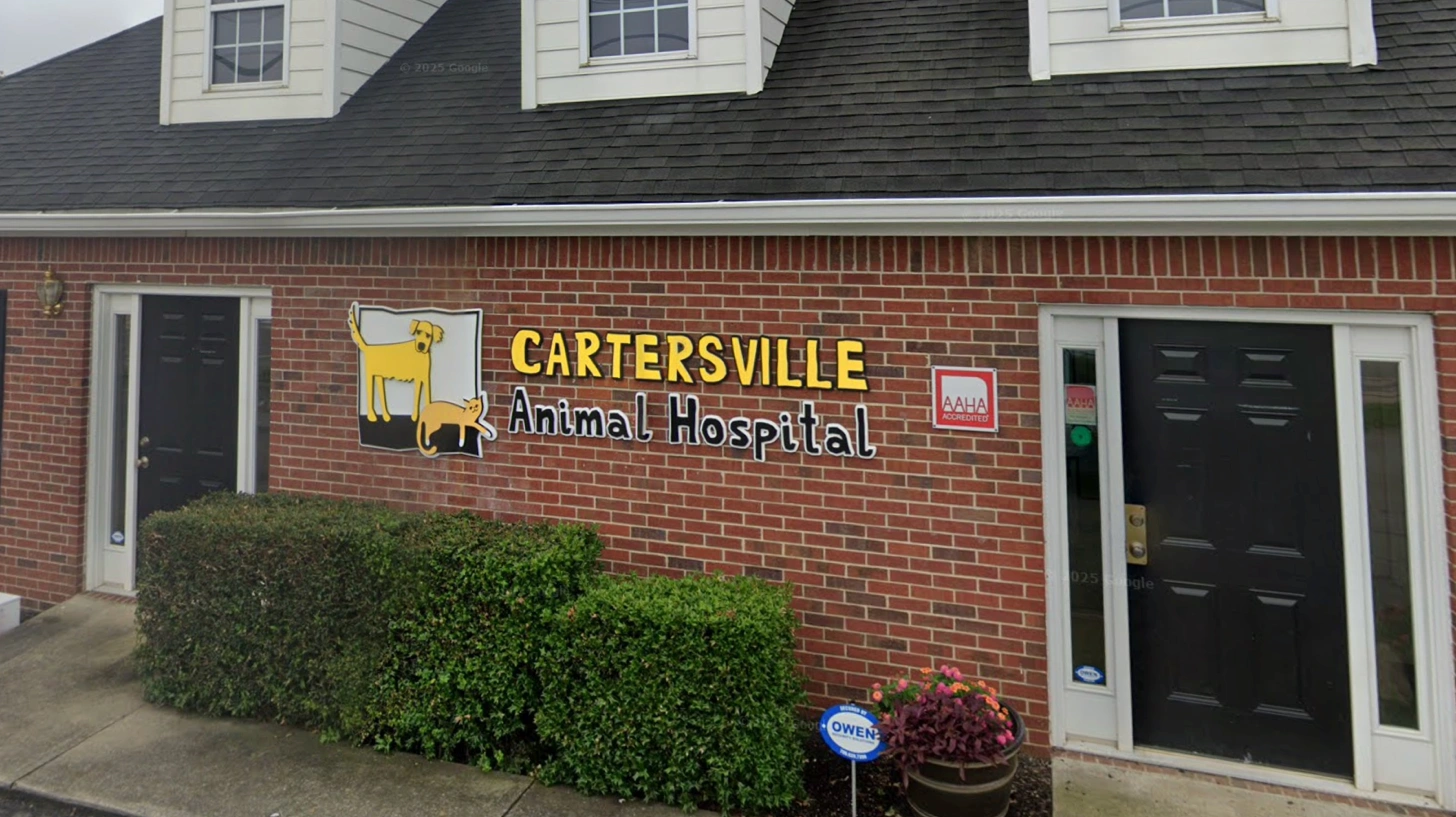 Veterinarian with happy dog